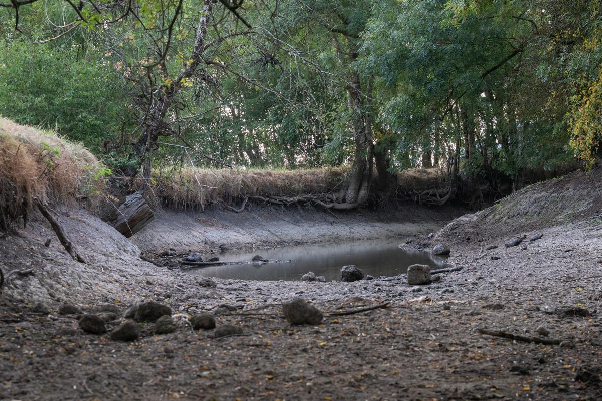 Seca na Nova Aquitânia: lençóis freáticos em queda, rios sob pressão, sudoeste com escassez de água