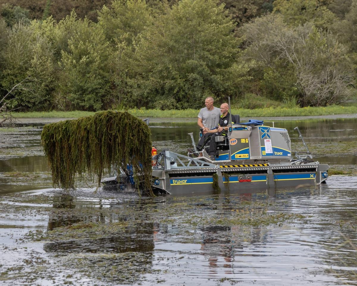 “It’s becoming impossible to fish”: in Dax, shock treatment against the proliferation of aquatic plants in ponds