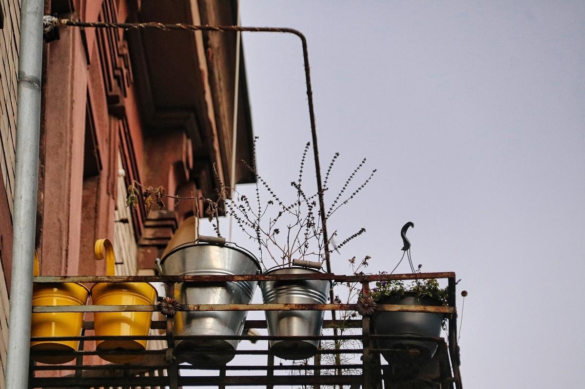 How to protect your potted plants in winter?