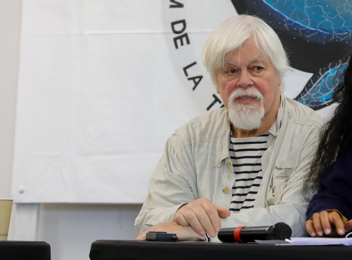 Paul Watson: Fransa, çevre aktivisti ve Sea Shepherd'ın kurucusuna siyasi sığınma hakkı vermeyi reddetti