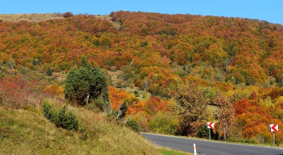 A wide route will cross the Bieszczady Mountains? There is opposition from the national park management