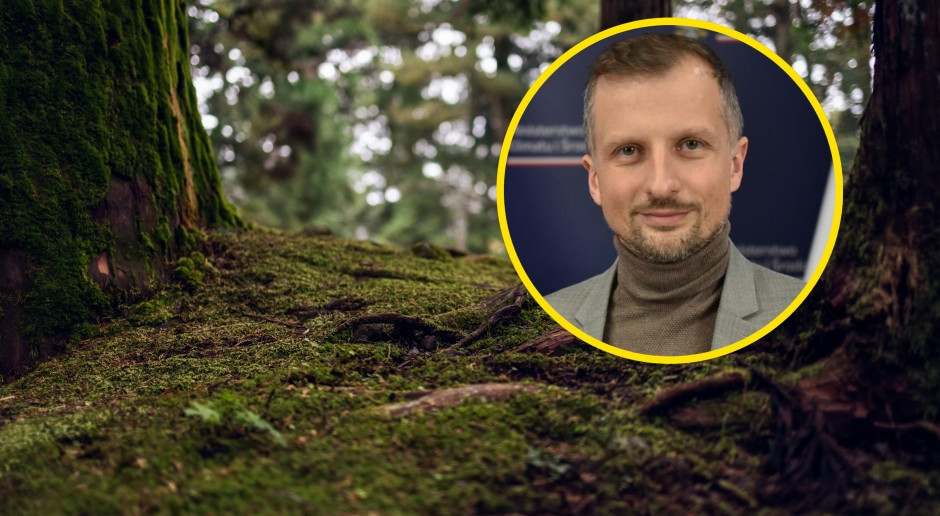 Environmentalists are sounding the alarm: the government is abandoning forest protection. Deputy Minister Dorożała denies the allegations.
