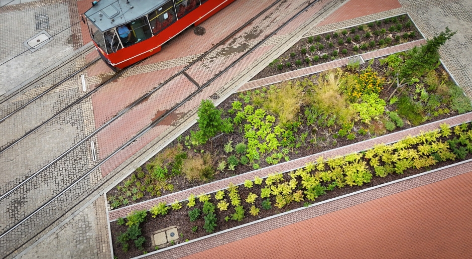 They're visually appealing and help monitor air quality. An international project is coming to Katowice.