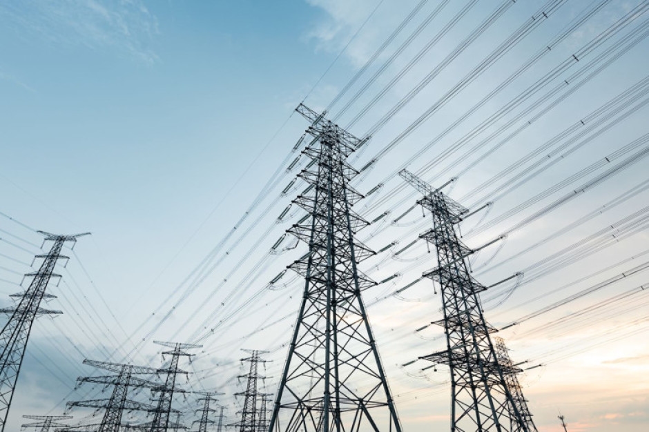 È una soluzione alla variabilità delle fonti energetiche rinnovabili. La Polonia all'inizio del suo cammino, un altro boom in vista?