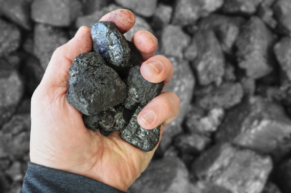 Coal prices may surprise you. There's a lot going on here.