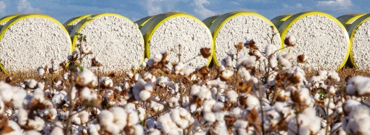 Plan proposes use of the Port of Pecém to transport cotton from Matopiba
