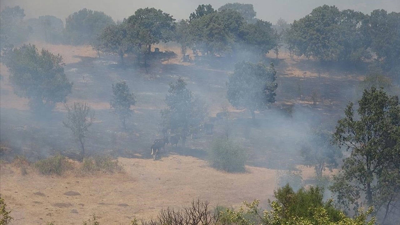Çanakkale'de tarım alanında yangın