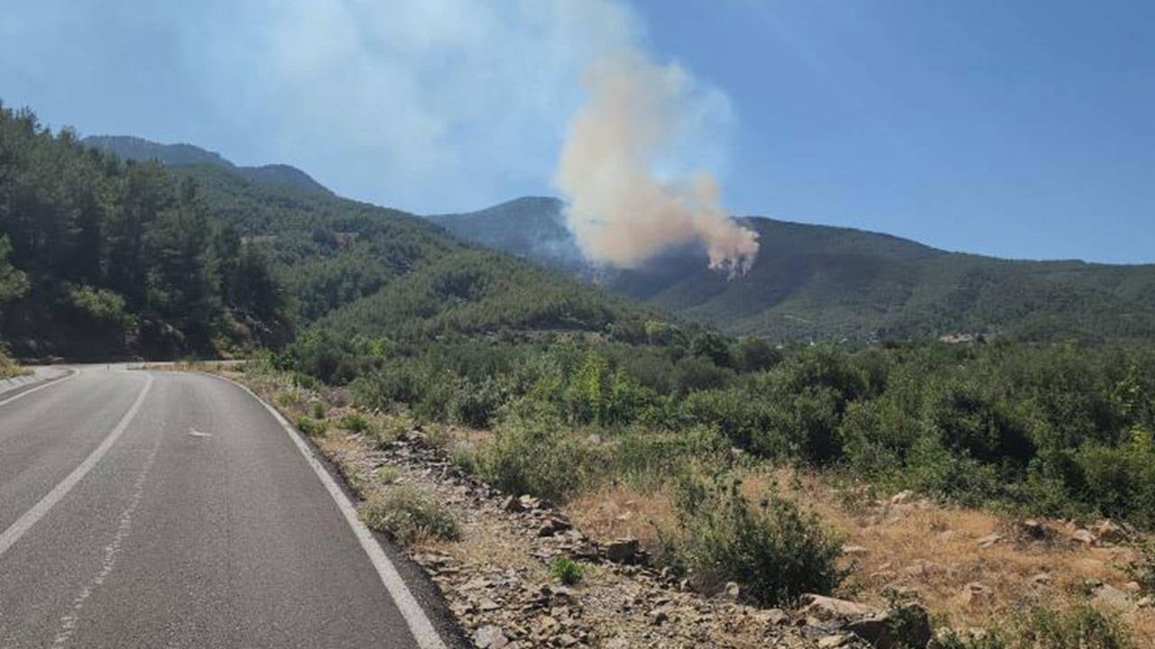 Bosbrand in Hatay