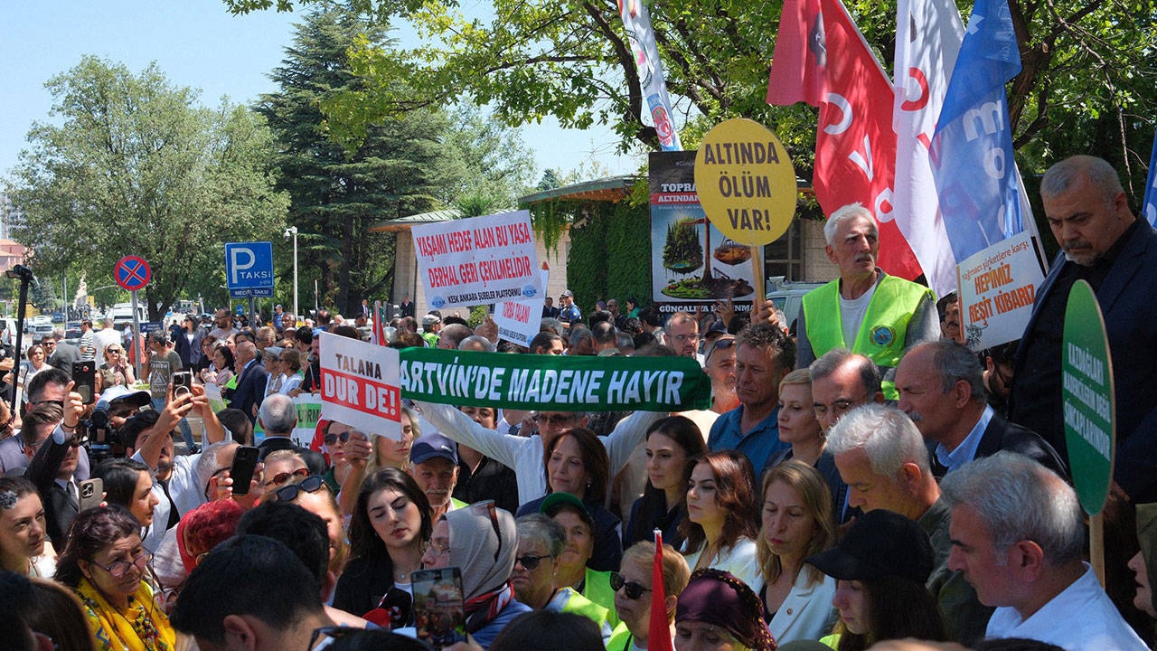 Yaşam için Meclis’e çıkarma