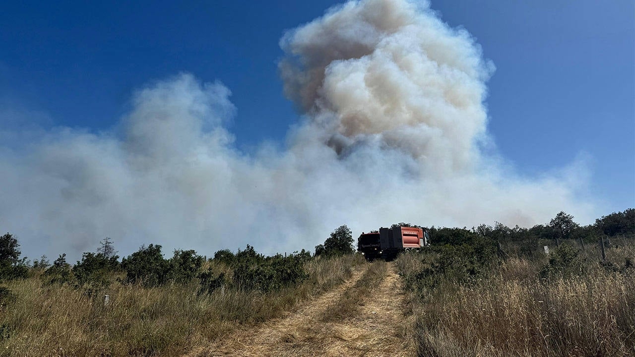 Fire breaks out in a forest area in Silivri