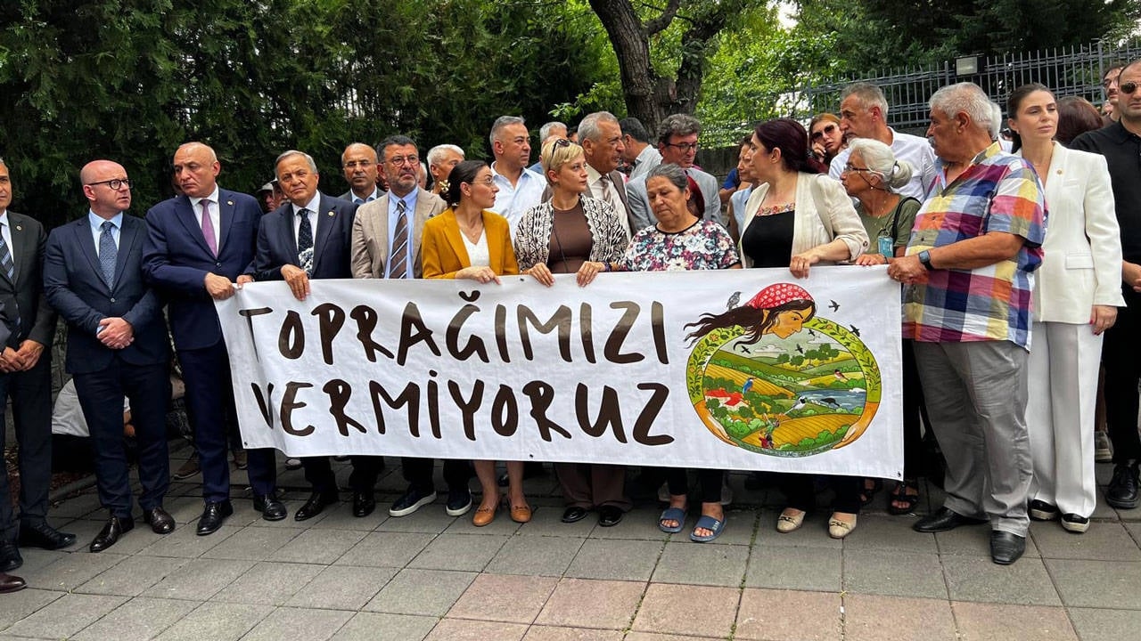 "Final" cancellation decision for olive groves