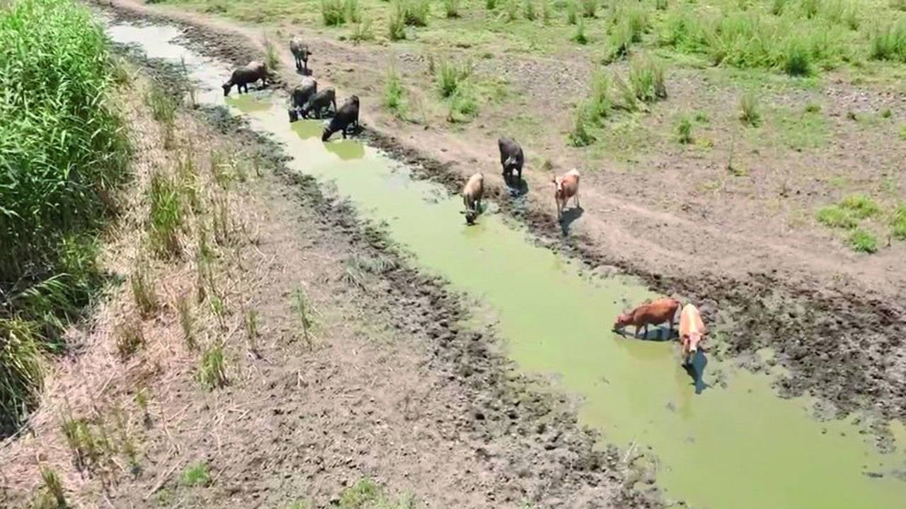 El lago Eber se quedó sin agua