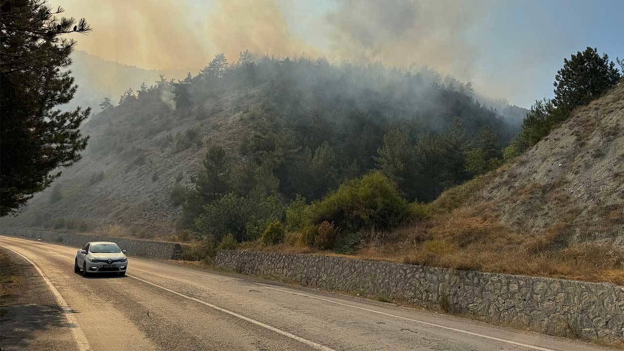 Karabük'te orman yangını