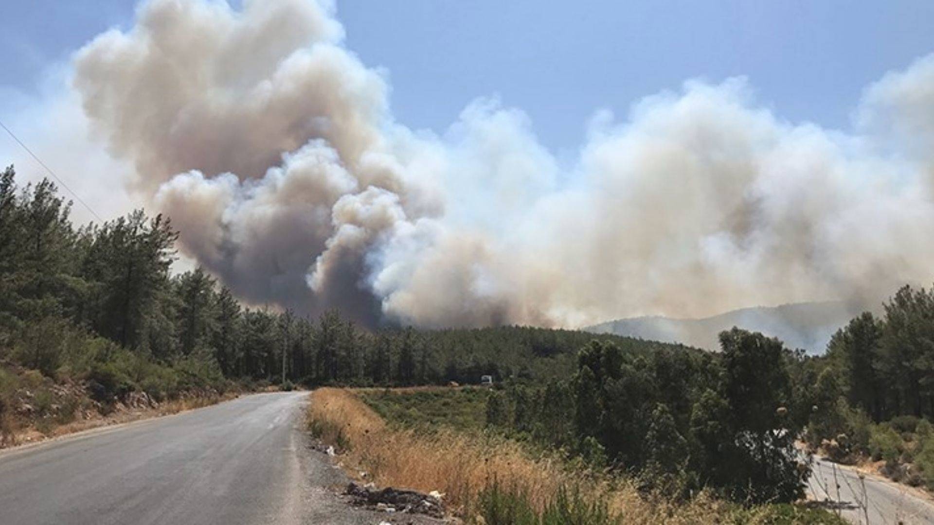 The forest fire in Bodrum has been brought under control.