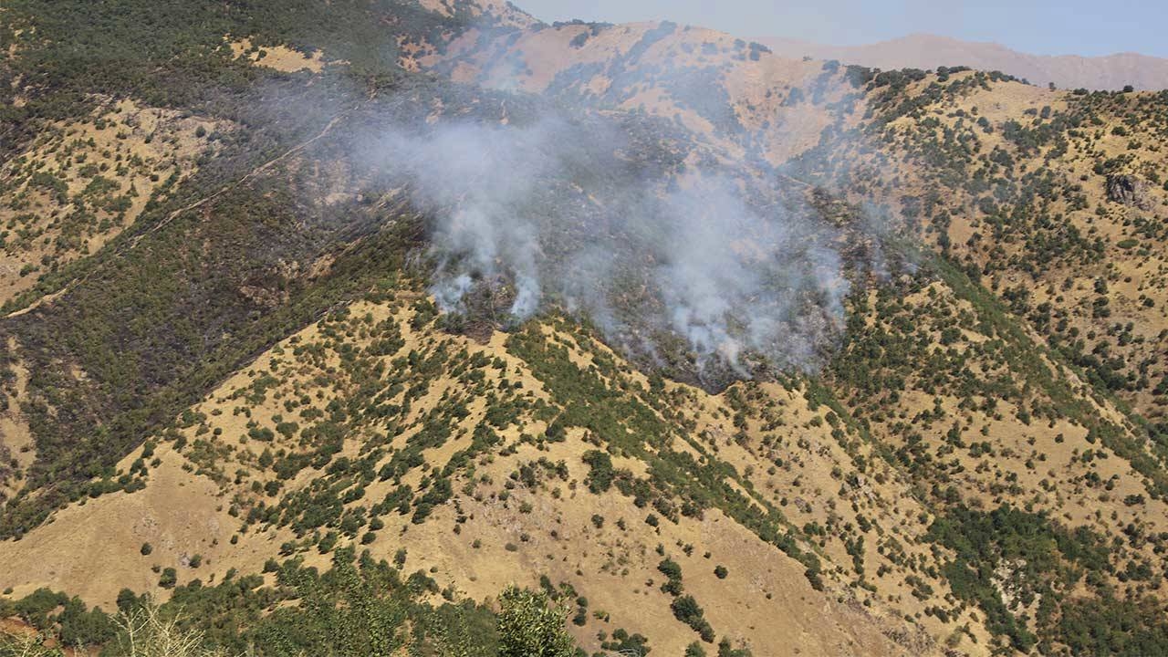 Hakkari'de ormanlık alanda yangın