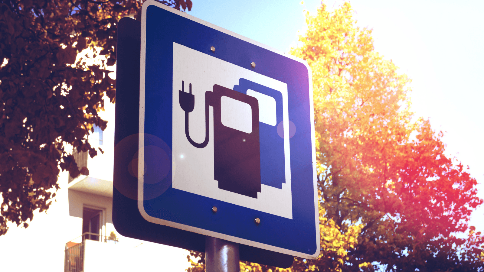 Si bien el interés en los vehículos eléctricos e híbridos ha aumentado en la UE, el mercado automovilístico se ha reducido.
