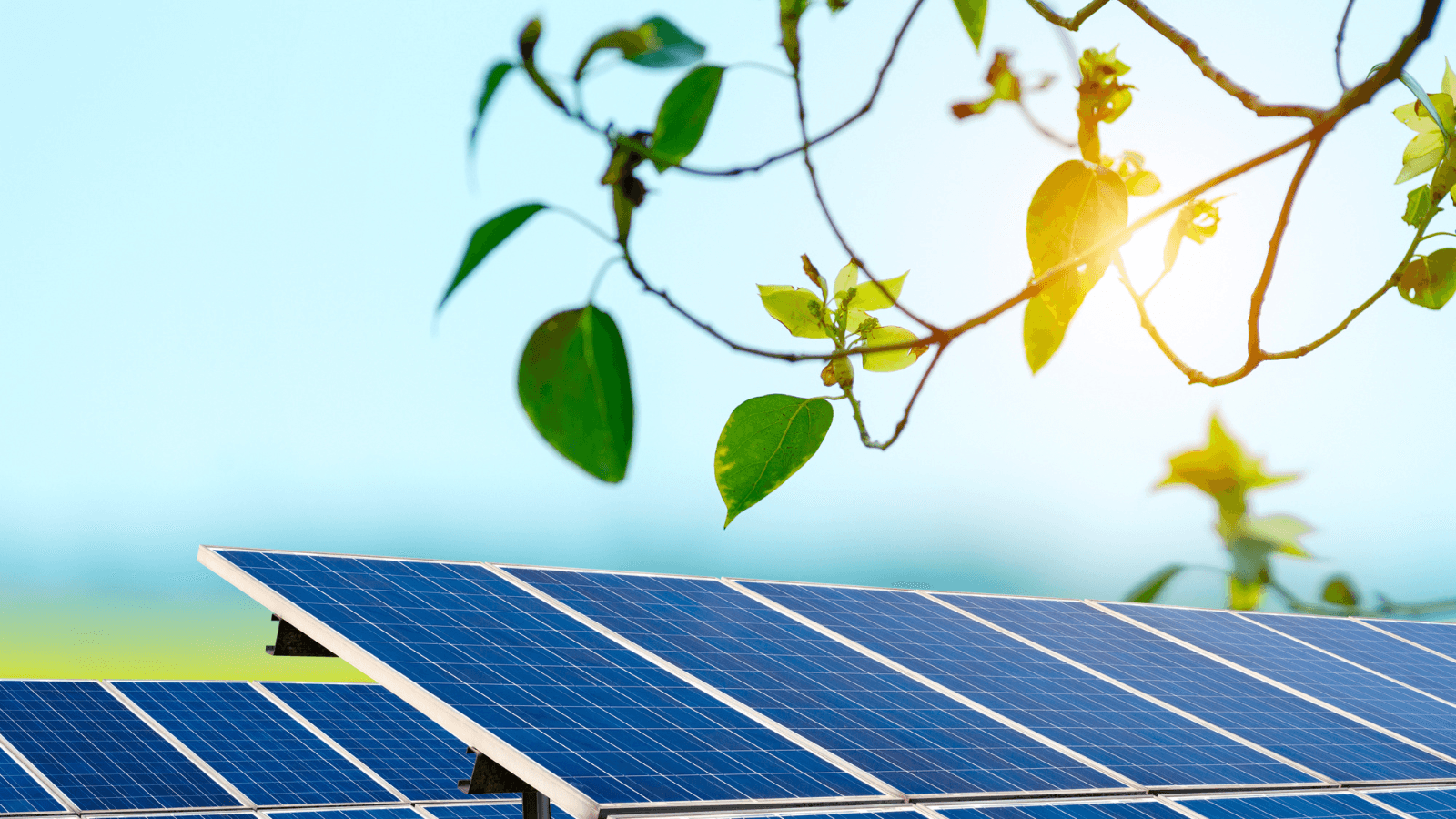 Sıcak dalgası Avrupa’nın elektrik sistemini zorlarken, güneş enerjisi kritik rol oynadı
