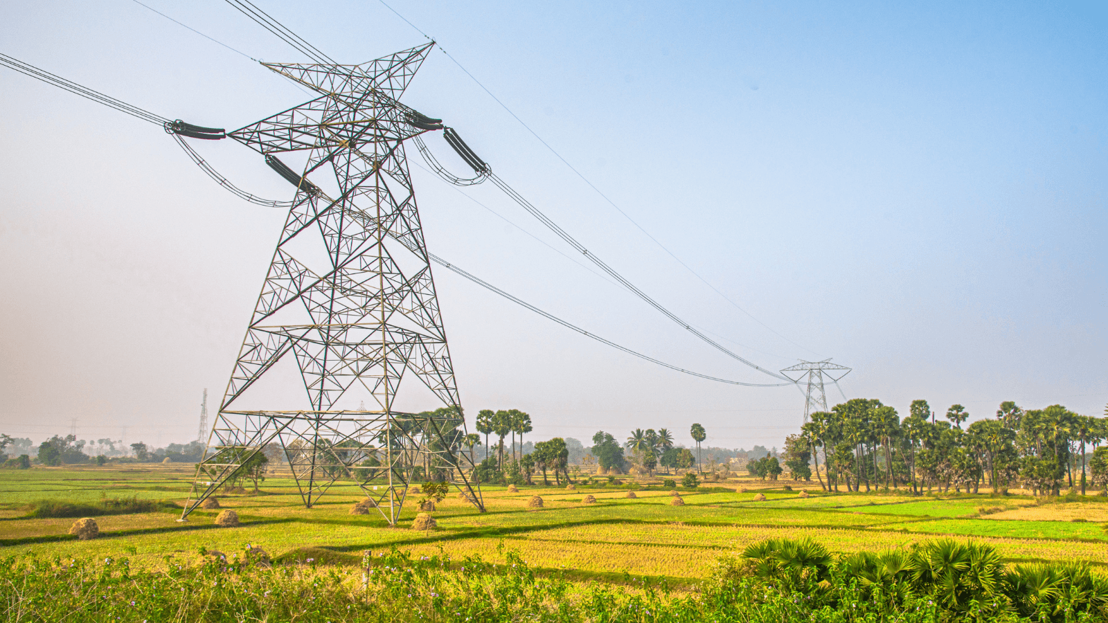 MİA: “Smart and carbon-free grids are inevitable”