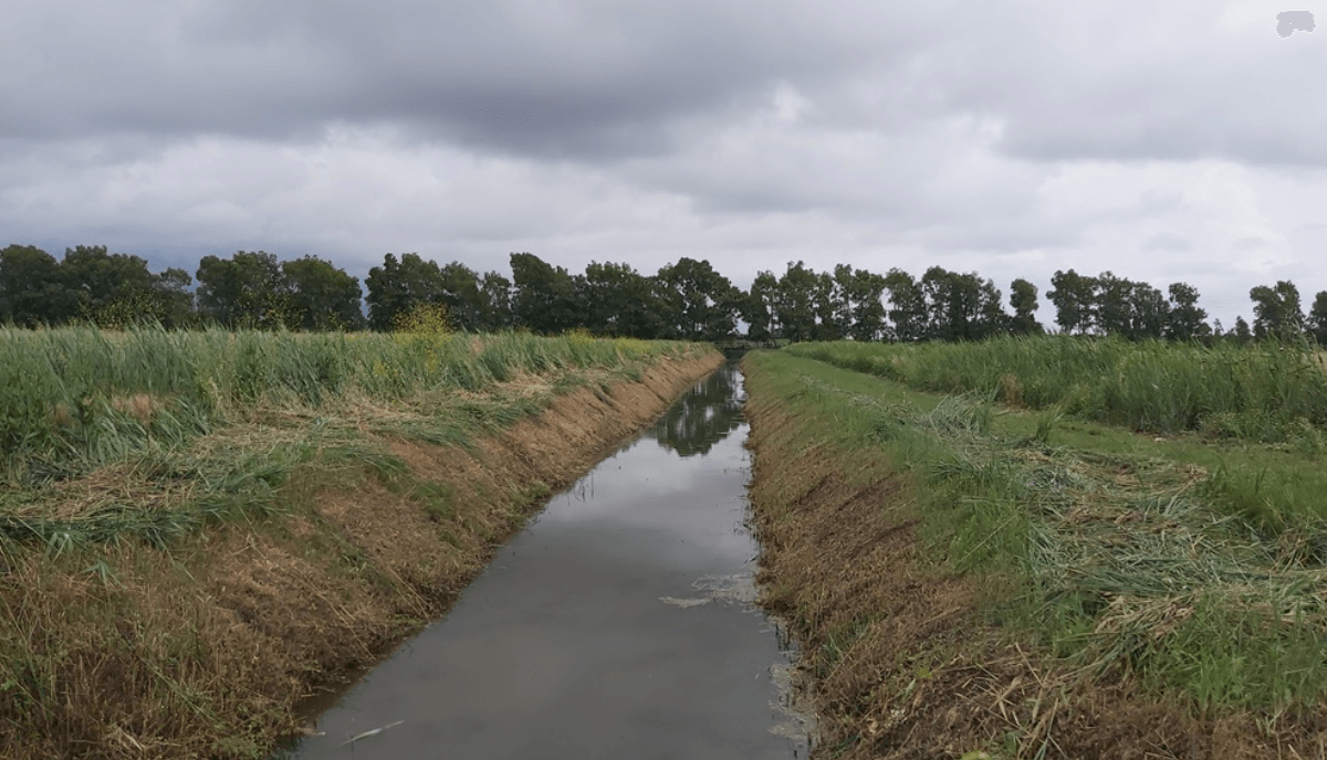 ANBI, Venus-Projekt: Experimente zur Umgestaltung der Landwirtschaft in Salzebenen beginnen