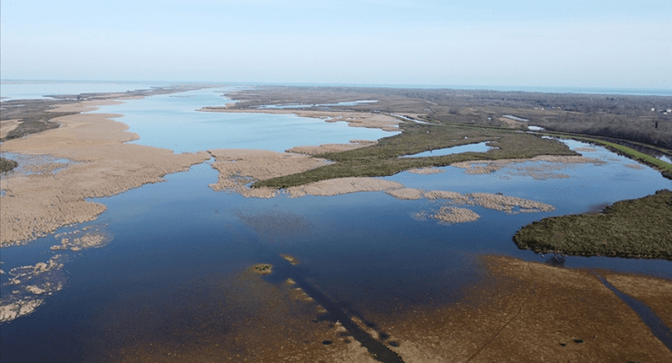 Het verlies van wetlands zou tegen 2050 een economische schade van 39 biljoen dollar kunnen veroorzaken