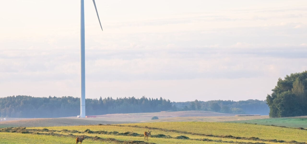 Lithuania: Ignitis Group invests €130 million in large-scale BESS portfolio