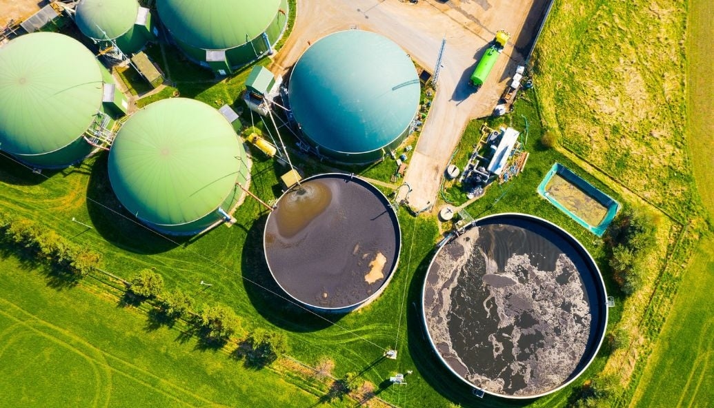 Biomass billions under fire? Public money use questioned