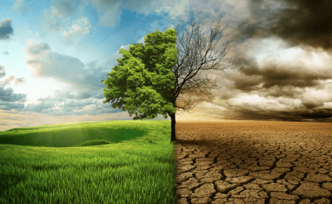 The first part of the Climate Law was passed by the Parliament