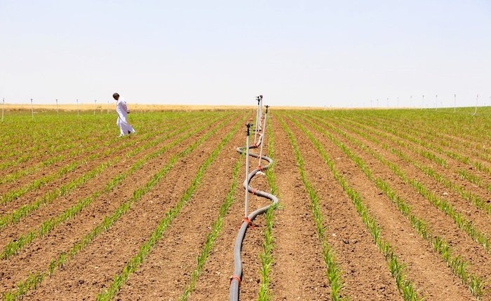 Dicle Electric advierte sobre el riego agrícola insensible