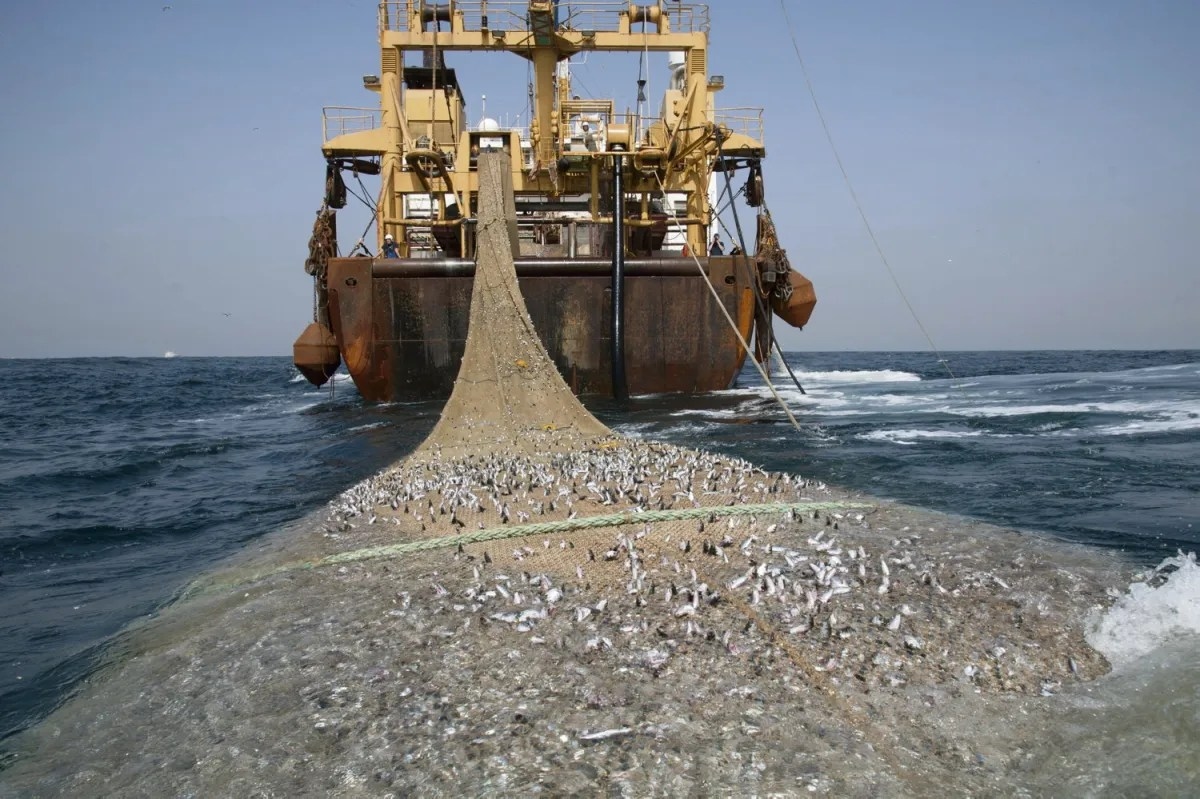 Limitar a pesca de arrasto de fundo em áreas marinhas protegidas: uma medida de publicidade