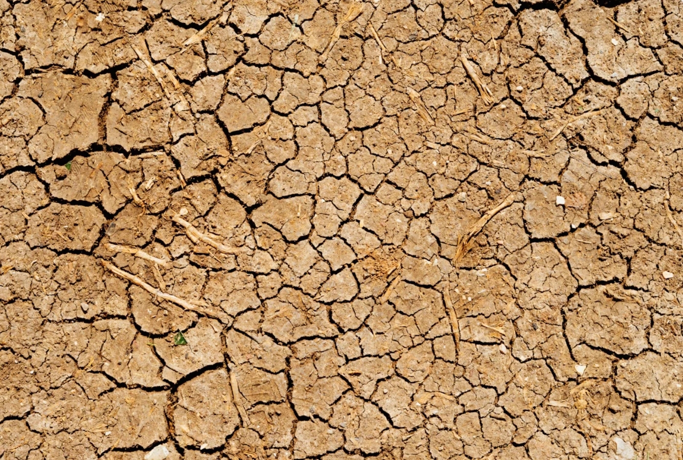 OECD: Dürreschäden werden 2035 35 Prozent höher ausfallen als heute