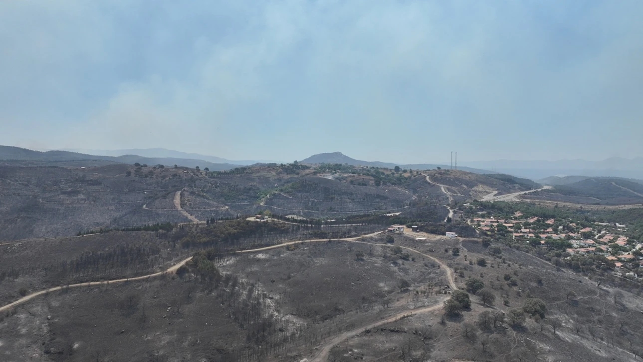 Los incendios forestales quemaron la ecología y la economía