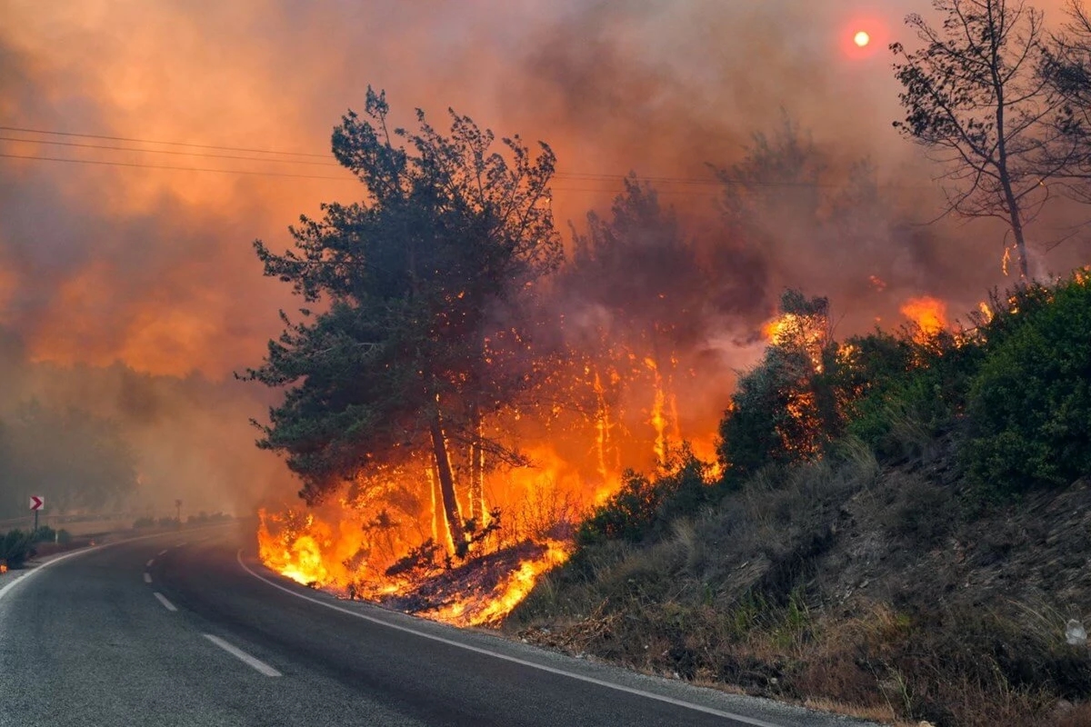 Erdoğan culpa al cambio climático de los incendios forestales y no aborda las débiles políticas climáticas.