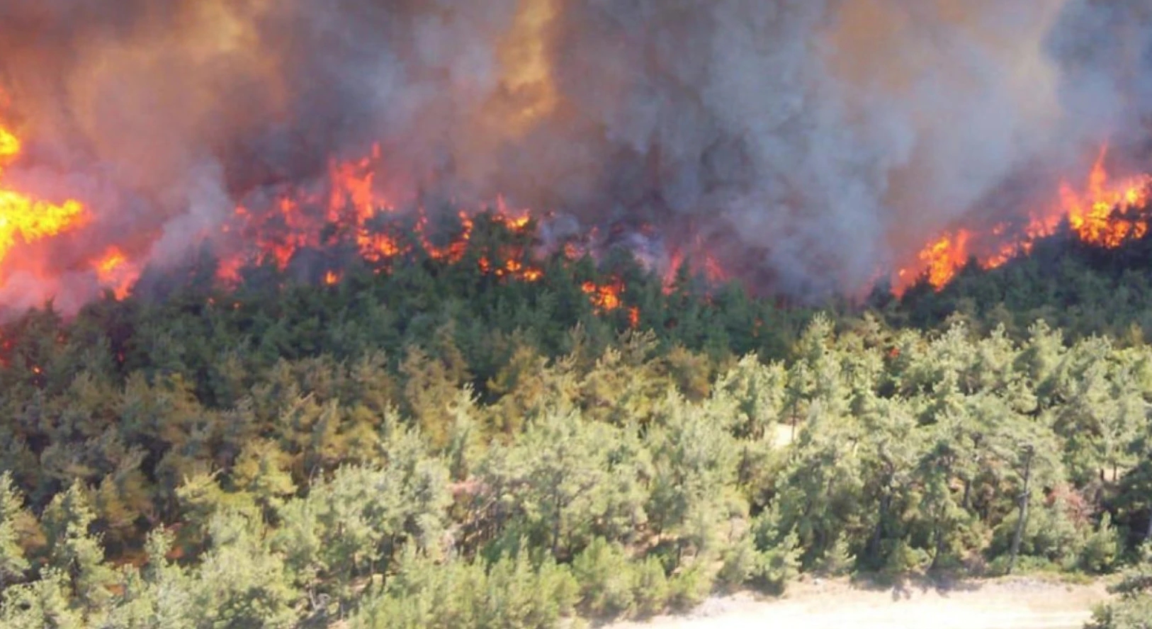 El riesgo de incendios forestales en la región del Mar Negro aumenta cada día