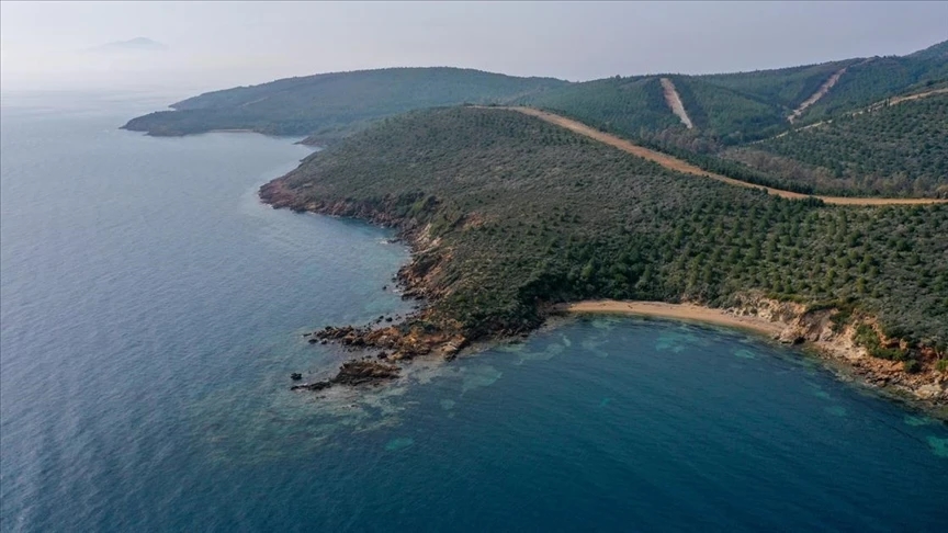 Denize Komşu Ormanlarda Madencilik Faaliyetinin Önü Açıldı!