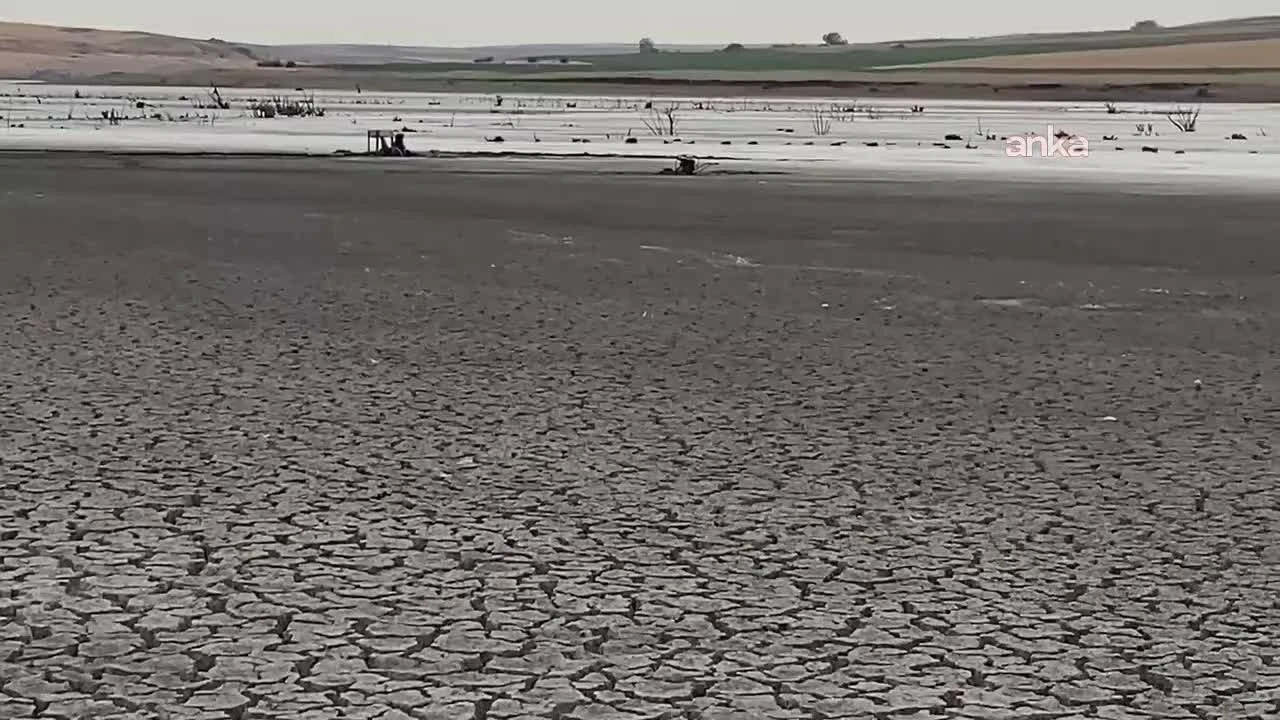 CHP's Gürer: "Agricultural Frost and Drought Have Crippled Producers"