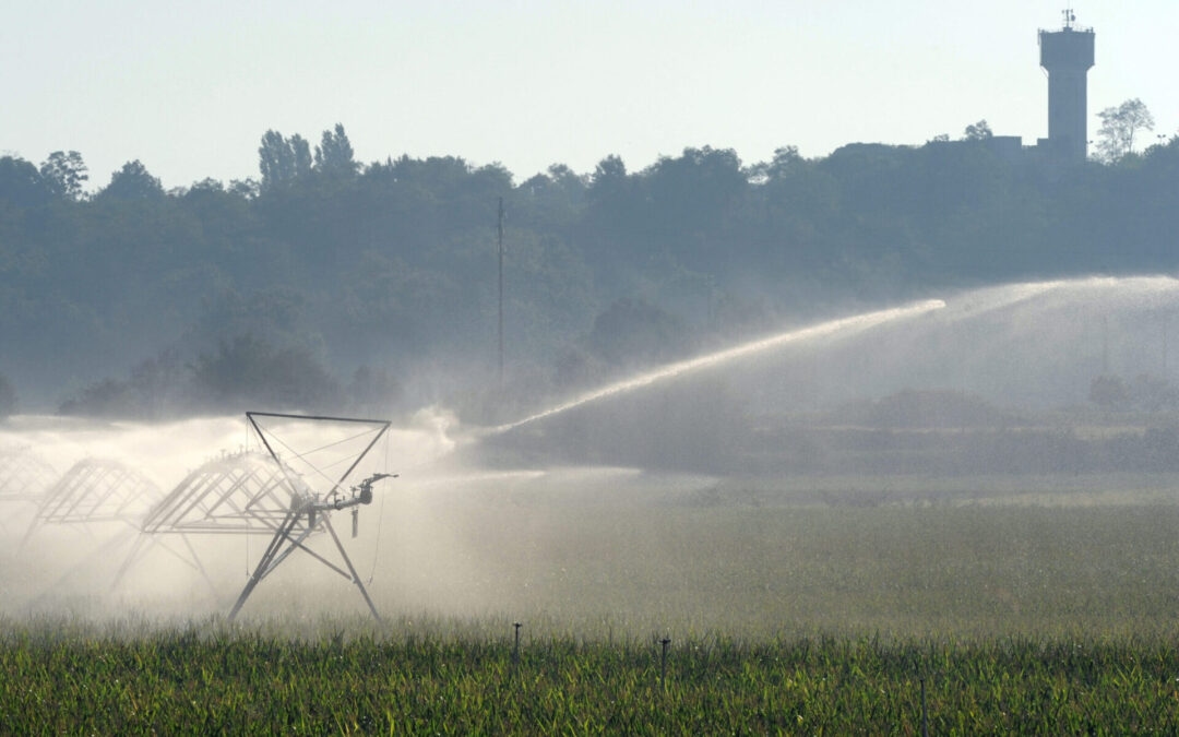 Rhône placed on drought alert: first water restrictions