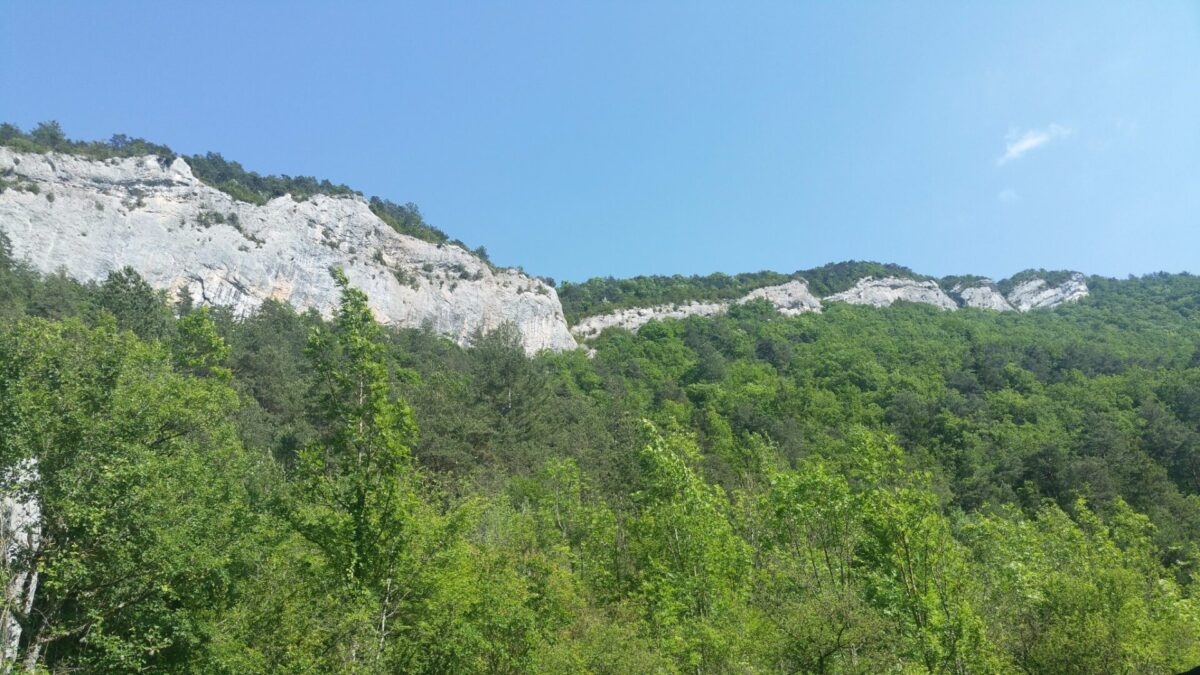 Eine Woche vor dem Sommer warnt das Département Rhône vor Waldbränden