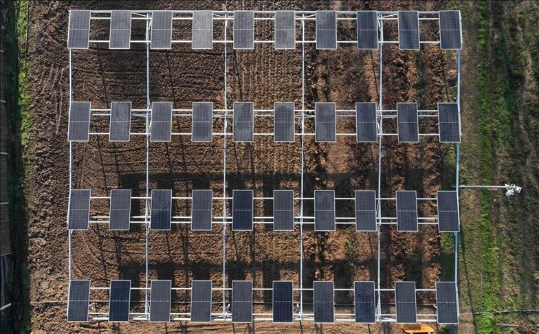Er wordt aangenomen dat de impact van klimaatverandering kan worden verminderd door zonne-energie in de landbouw.