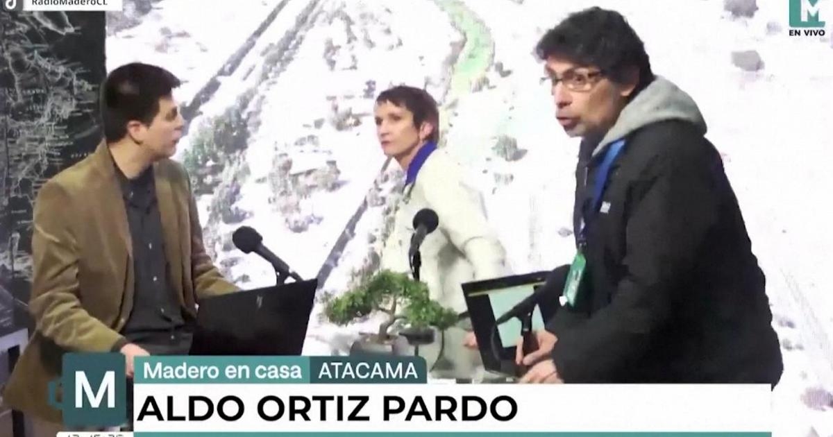 La scossa di terremoto interrompe un'intervista radio in diretta in Cile