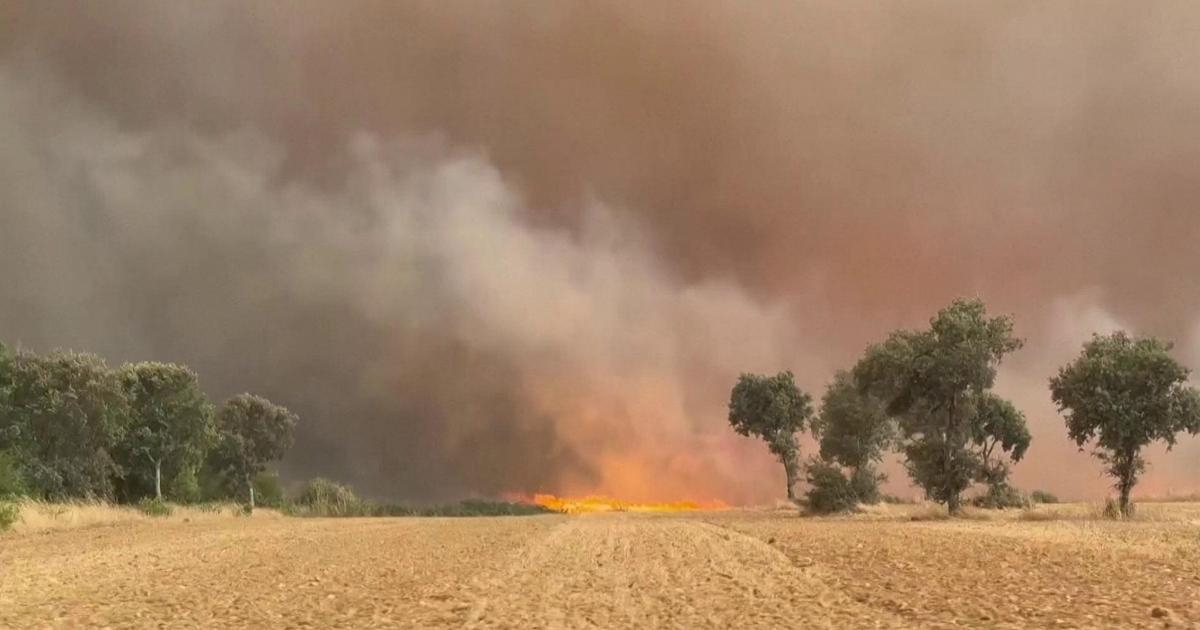 Flammen verwüsten Spanien, Feuerwehrleute im Einsatz in Zamora