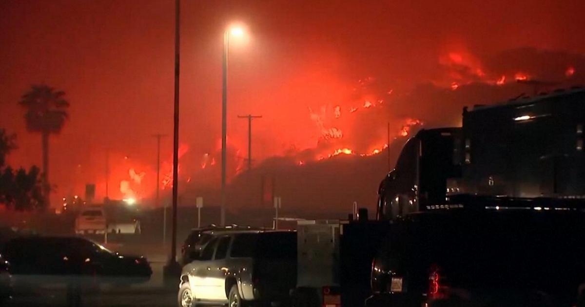 Мир в пепле: 2025 год станет самым мрачным годом по количеству мировых пожаров.