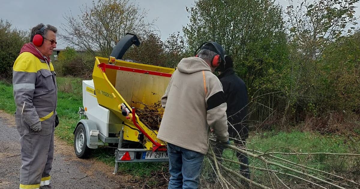 Lagney. Green morning