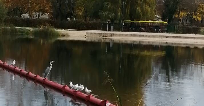 Vesoul | Walking. I watched with delight…