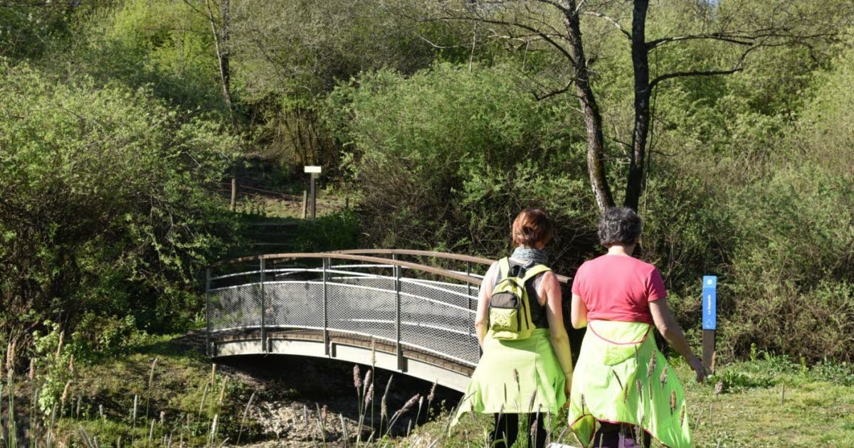 La Vèze. A public consultation on the development of the Saône marsh.