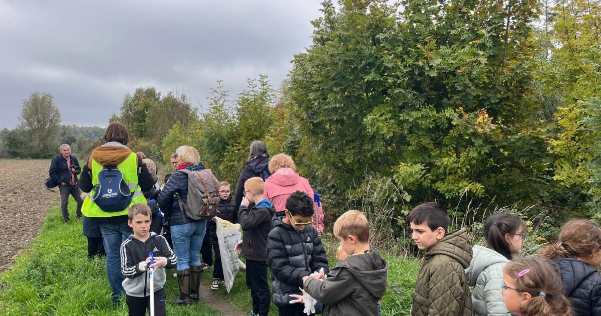 Lunéville. Balade nature : une démarche pédagogique et environnementale