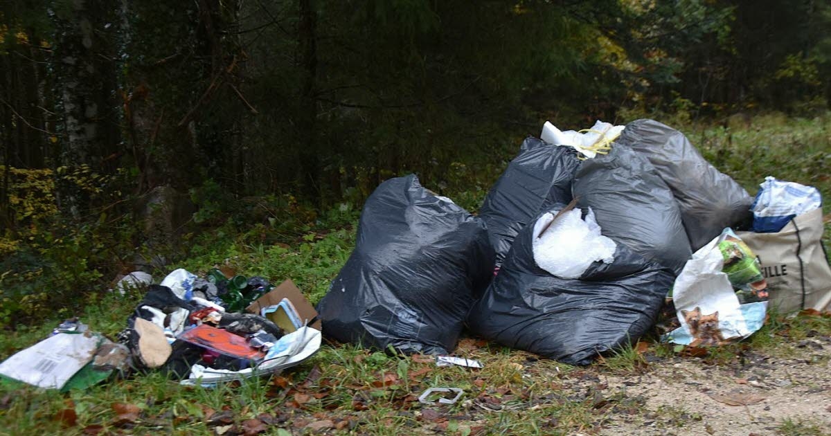 Longemaison. Illegal dumping of garbage along the D132: the mayor files a complaint