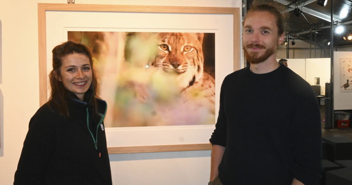 Jura. Le Jura et le lynx vedettes de l'équivalent du « Festival des Cannes » du film animalier