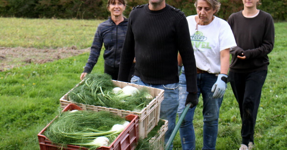 Décines-Charpieu. 200 families join Pot'Iront