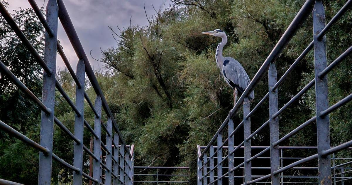 Meurthe-et-Moselle. Savez-vous quel sera le thème des prochaines Rencontres nature et environnement à Conflans-en-Jarnisy ?
