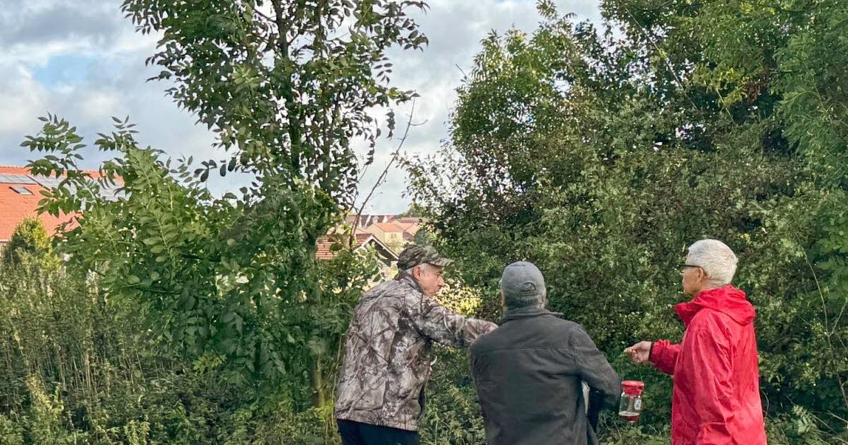 Maizières-lès-Metz. Frelon asiatique : des pièges sur la Boucle des coteaux